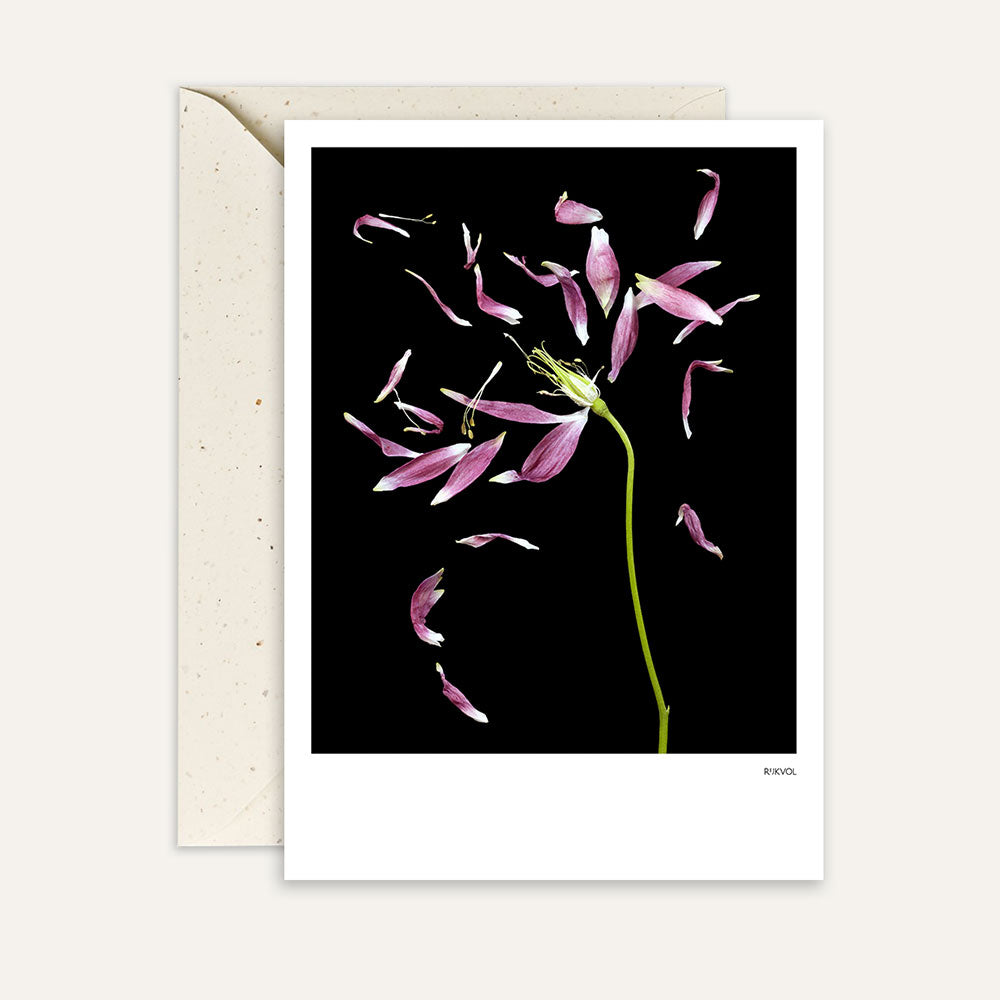 Mappa Black Edition Petallove 03