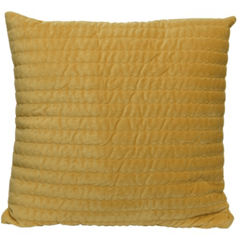 Kussen Polyester Fluweel in 2 kleuren