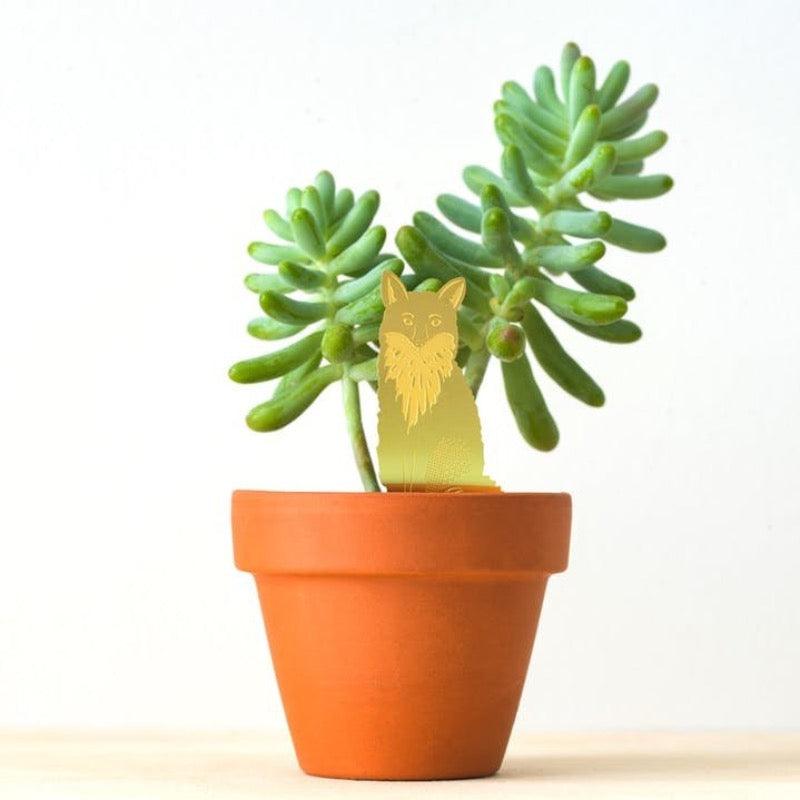 Planten Diertje Vos