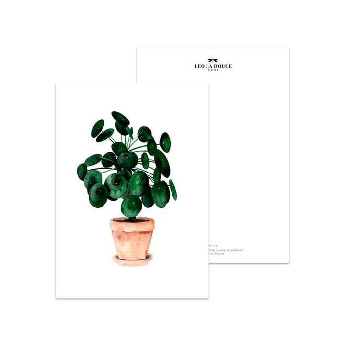 CARD PILEA | Una busta