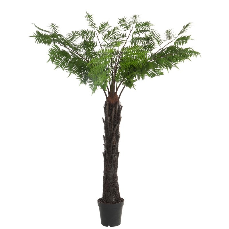 J-Line Palmboon In Pot | Plastic Groen/Bruin | 150x150x190cm