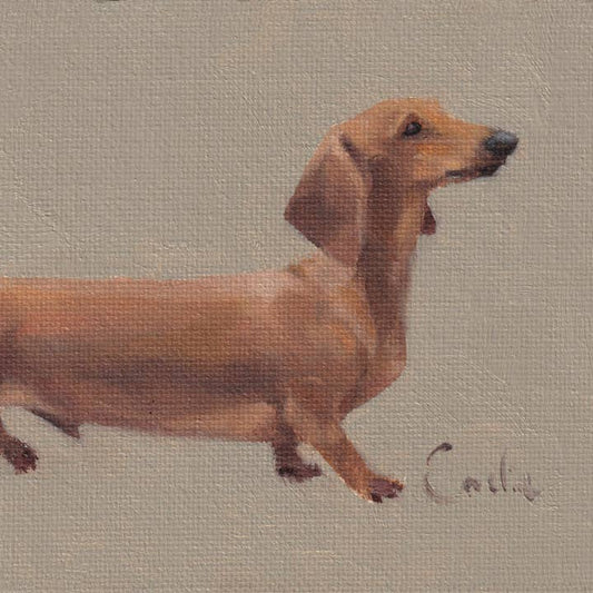Kaart Cooper