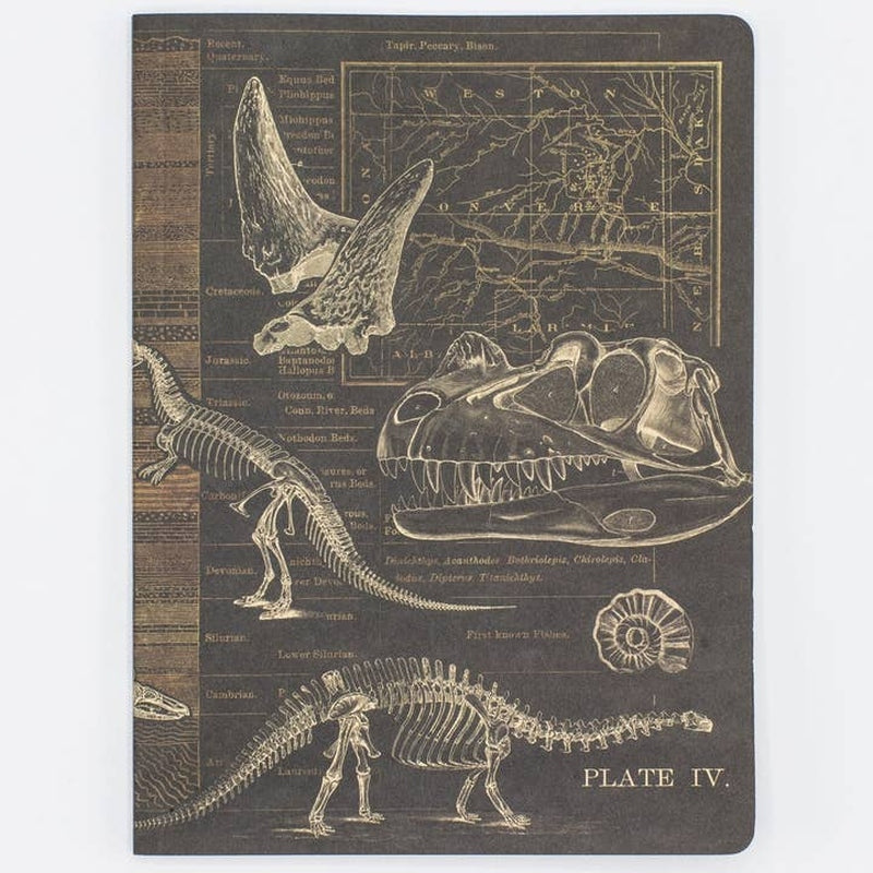 Dinosaurs Softcover Notebook | Dot Grid
