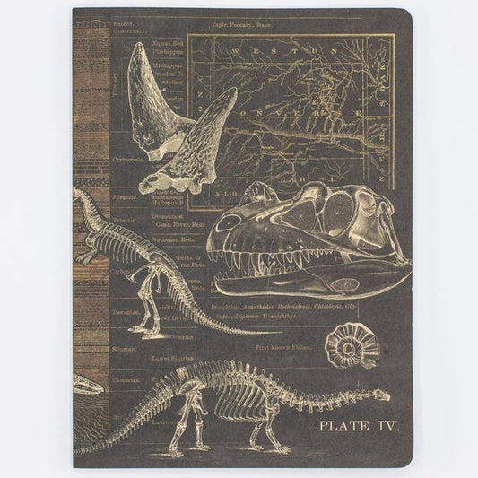Dinosaurs Softcover Notebook | Dot Grid