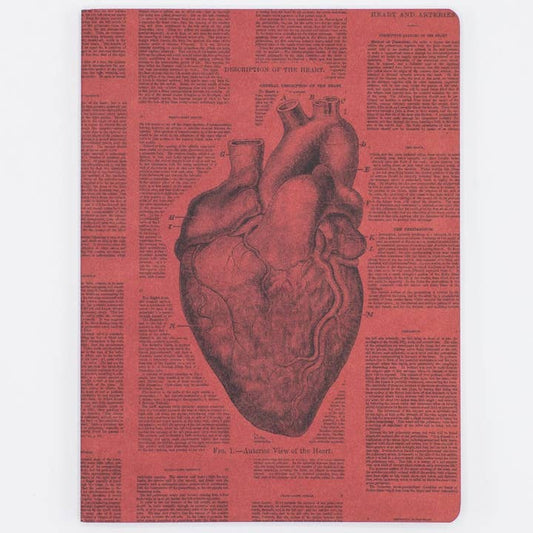 Anatomical Heart Softcover Notebook - Lined Pages