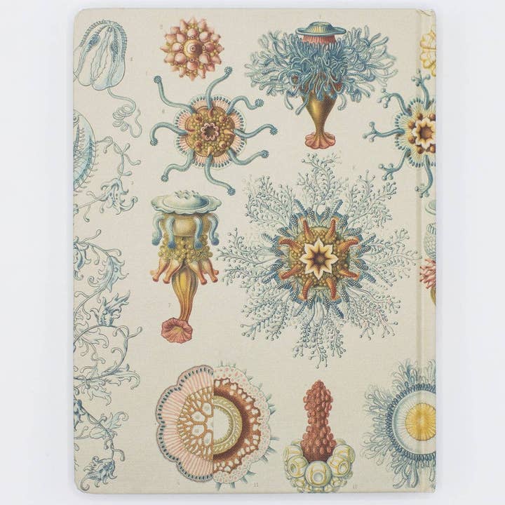 Haeckel Jellyfish Hardcover Notebook