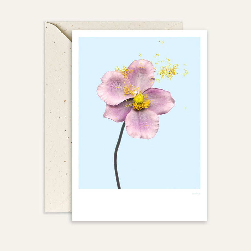 Kaart Anemone 01