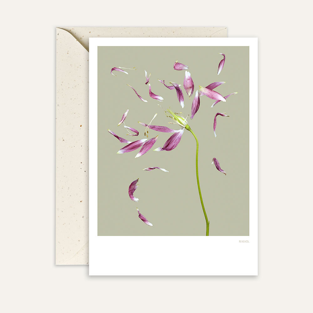 Mappa Petallove 03 | Verde