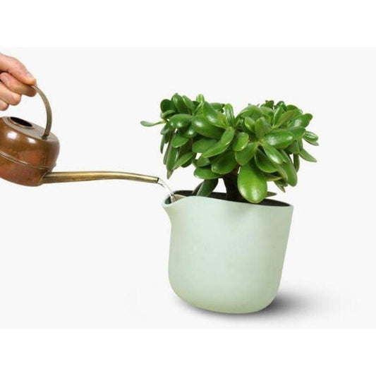 Studio Lorier Natural Balance | Mint Green